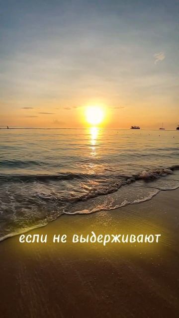 Когда нет смысла плыть в ОТКРЫТОЕ море?! 🤔 #словасосмыслом #цитаты #жизнь #live #shorts #море смотреть онлайн
