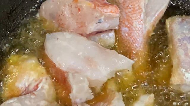 Морской Окунь 14.02.2024