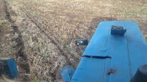 Дискование паров БДТ-3 , тянет МТЗ-80 1991 года выпуска.