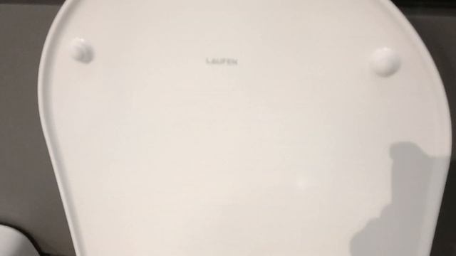 Laufen H8669570000001 Combipack wall-hung WC 'rimless' 820966, washdown, without flushing rim смотреть онлайн