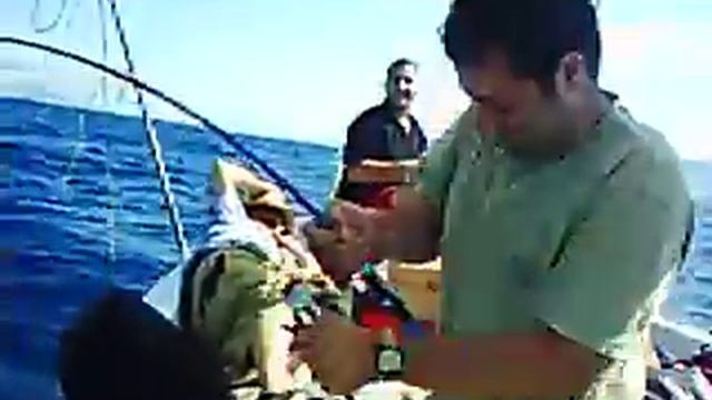 0045 Aykutun heyecani mercan mi cipuami, tranca mi derken olta yukariya geldi смотреть онлайн