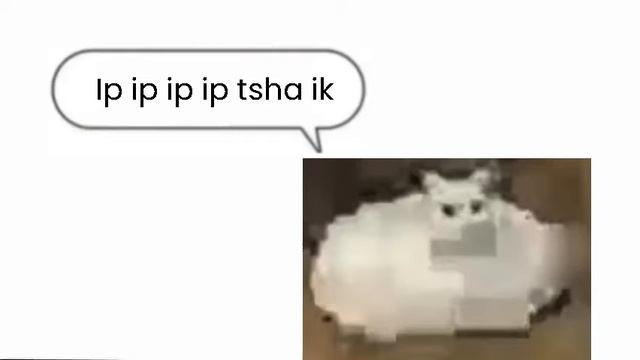 Turi Ip Ip Ip (smacked Cat)