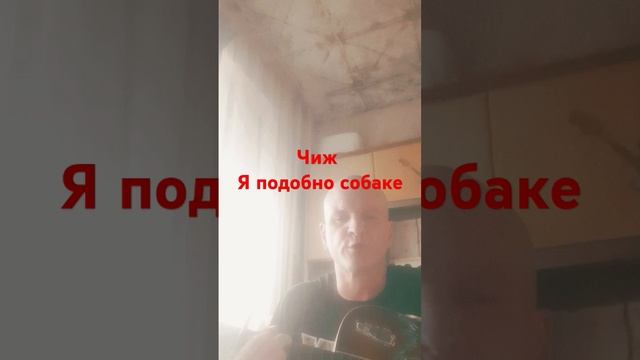 чиж и ко я подобно собаке смотреть онлайн