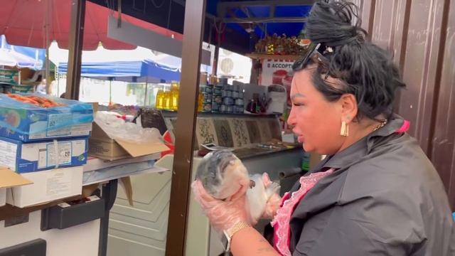 Заплыв Морских Жителей К Ягодке смотреть онлайн