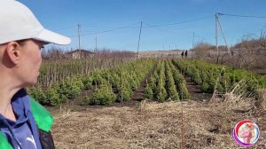 Новые знакомства и обмен опытом. Поездка в Михайловский питомник. Обзор.