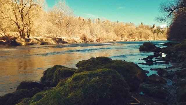 Пение птиц и расслабляющая фортепианная музыка сочетаются в красивой природе 🌹 8 смотреть онлайн
