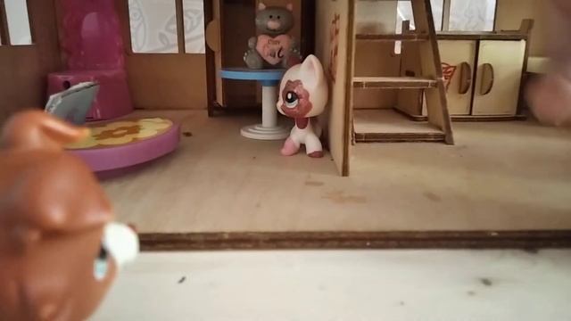 10 типов аднаклаников лпс