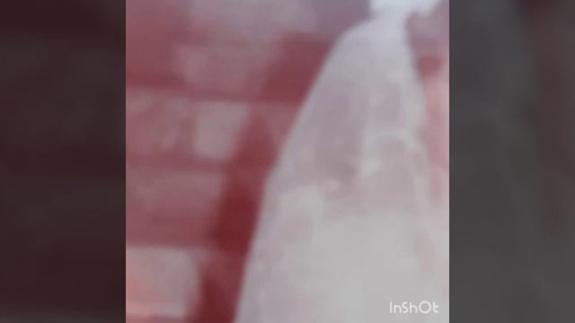 Перевал Дятлова. Моя свадьба. смотреть онлайн