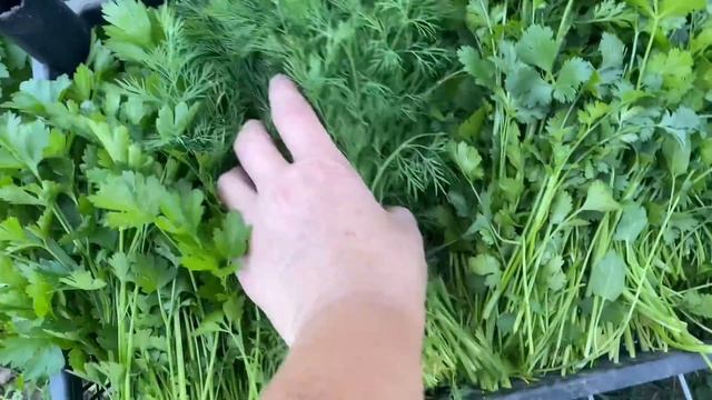 1230❤️Всё не так… попрошайка, бусурманка… и это всё я 😂