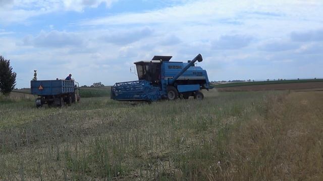 Żniwa rzepaczane 2018 ! BIZON BS Z110 w akcji смотреть онлайн