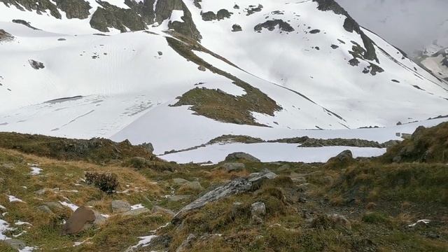 День 3 (20210605-164807)