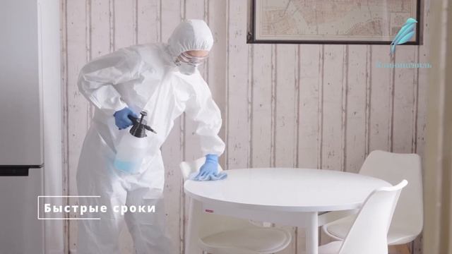 Клининг в Электроуглях: Профессиональная уборка для вашего комфорта смотреть онлайн