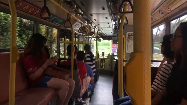 SBS Transit bus service 81 SBS9846T Volvo B10TL Volgren Production Batch смотреть онлайн