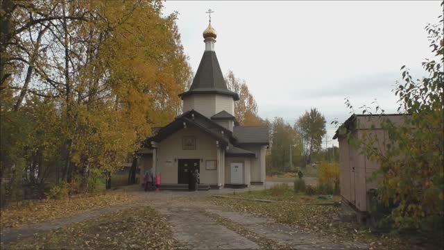 Архив. По просьбе. Ржевский лесопарк, речка Лапка. Петербург. 2021. смотреть онлайн