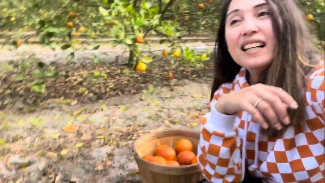 Orange Picking Vlog | Orange Farm | Florida смотреть онлайн