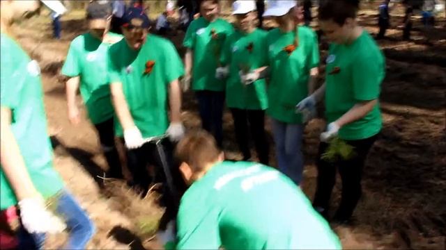 Лес Победы 29 апреля 2017 смотреть онлайн