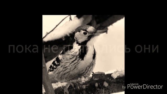 люда еды какието