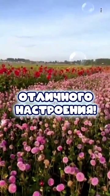Добрый День, Хорошего настроения ! Чтобы День Отличным был, Много Счастья Подарил 💖💞❤ смотреть онлайн