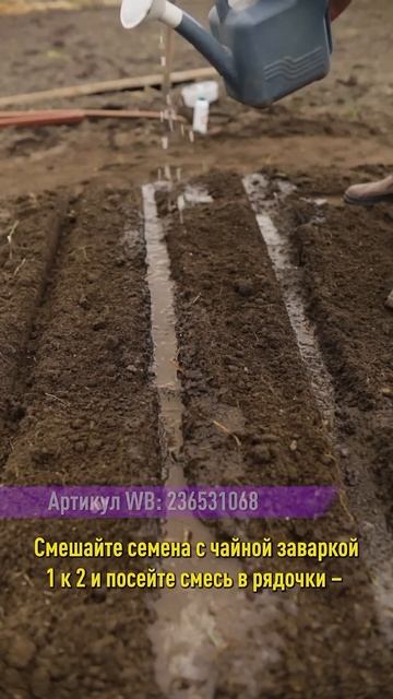 Морковь взойдет в два раза быстрее! Вырастет раньше, сладкой и крупной! смотреть онлайн