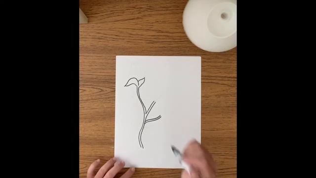 Louisiana State Symbol- Southern Magnolia смотреть онлайн