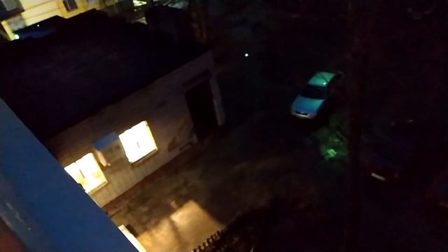 Хотел сходить на рыбалку, а пришлось нюхать с кошкой рыбу.