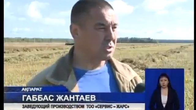 Хлеборобы  Кызылжарского  района  приступили к уборке урожая