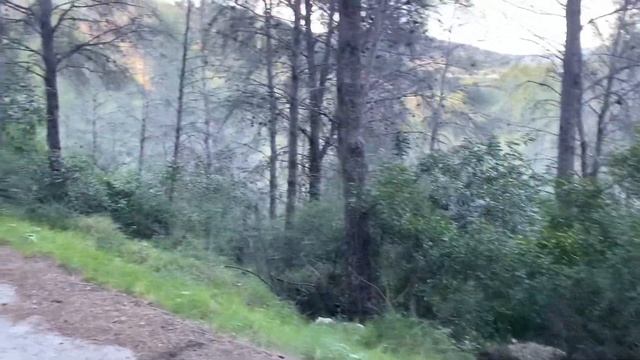 голодные дети, что берем из еды в походы, выходные с детьми в Испании, многодетная семья