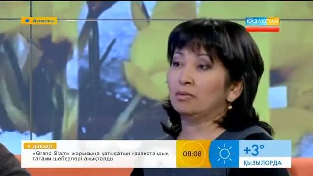 «Бозторғай» телехикаясының аудармашылары тікелей эфирде сұхбат берді смотреть онлайн