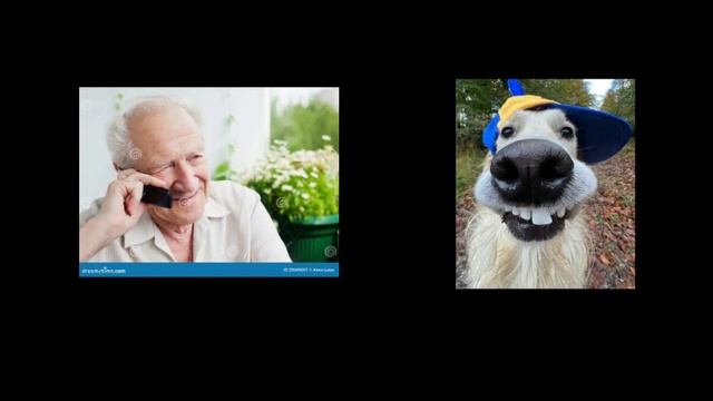 милая беседа мистера пончика со своим дедушкой