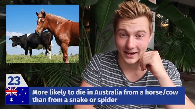 100 BIZARRE Facts About AUSTRALIA!