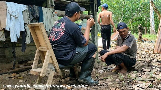 HIDUP DIKEBUN TERNYATA SERU ADA PENCINTA JANDA SIAP SIAP BAU ASAP KALAU BUAT KOPRA KELAPA смотреть онлайн