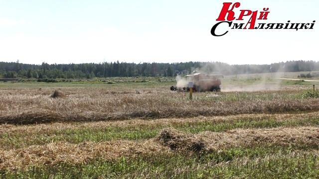 УБОРОЧНЫЕ РАБОТЫ В СМОЛЕВИЧСКОМ РАЙОНЕ смотреть онлайн