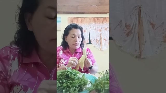 The Fern vegetable смотреть онлайн