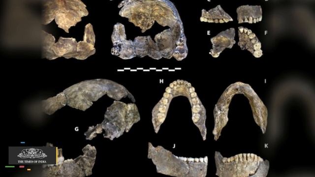 Homo Naledi May Have Buried Its Dead | Fossils Found in South Africa смотреть онлайн