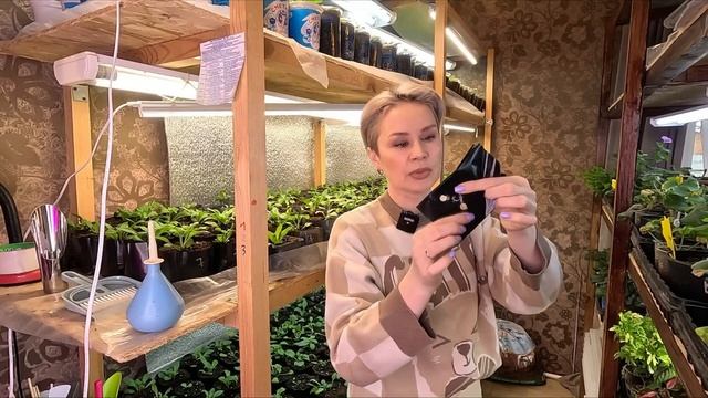 УДОБНО ЛИ ВЫРАЩИВАТЬ РАССАДУ В ПАКЕТАХ?ВЫБОР ЗА ВАМИ. смотреть онлайн