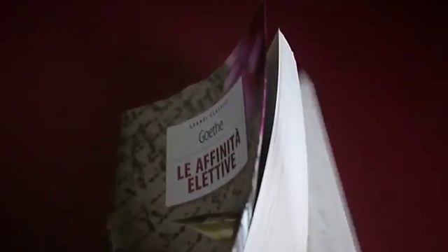 Le affinità elettive di Goethe смотреть онлайн