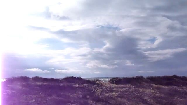 Природа на марафоне в Анапе янв.2012 г. смотреть онлайн