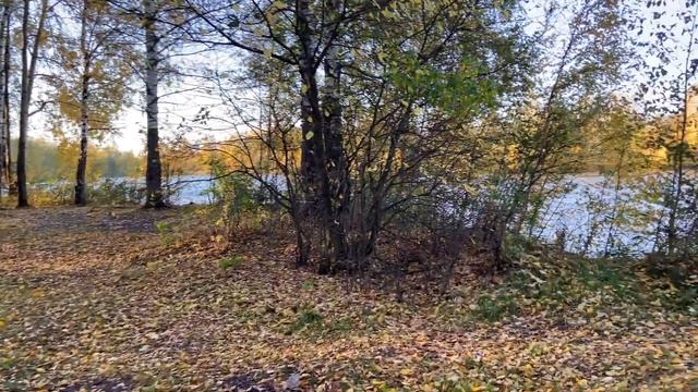✅ Ляпинские карьеры в Ярославле. Пляж - тарзанка (4К) смотреть онлайн