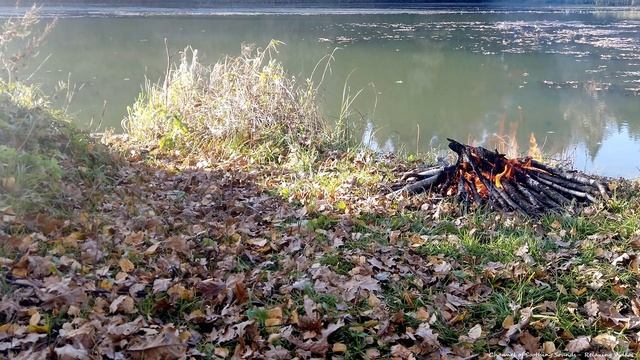 Bonfire on the river bank to the sound of the wind | Live fire video in 4K UHD | Power of nature смотреть онлайн