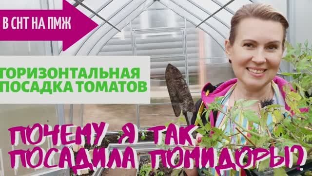 СТАРАЯ ДАЧА | Зачем сажать помидоры горизонтально? Посадка томатов. №24 смотреть онлайн