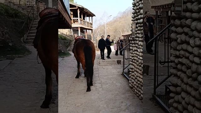 ✨Медовые водопады Кавказа🏔 Карачаево-Черкесия🌏 Весеннее путешествие☀ #travel#like#life#nature#iren❤ смотреть онлайн