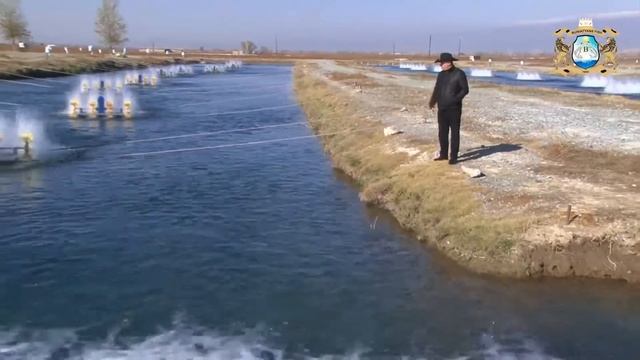 Buniatyan Fish // Father and Son Buniatyans // Հայր և որդի Բունիաթյաններ смотреть онлайн