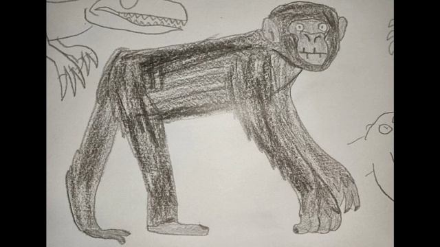 Sound Effects-Central Chimpanzee