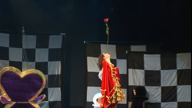 Цирковой спектакль 