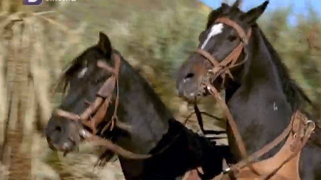 Али Баба и 40-те разбойника 2 Бг аудио смотреть онлайн