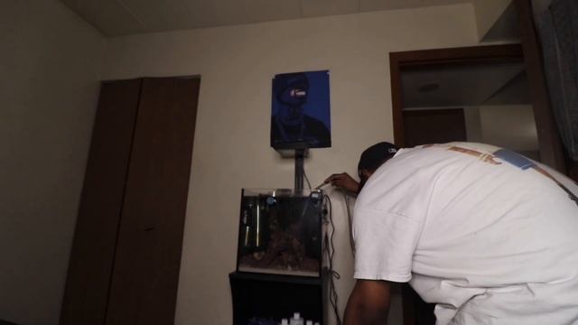 Grizzly Aquatics: ADDING NEW FISH TO THE 15 GALLON INNOVATIVE MARINE TANK 🐠| FIRST WATER CHANGE 💧 смотреть онлайн