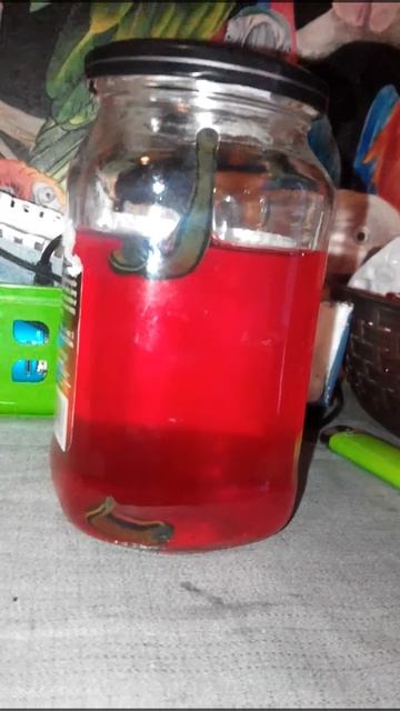 Пиявки в крови