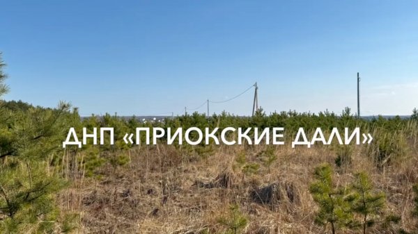 Окские дали