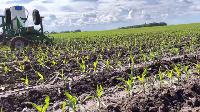 Підживлення кукурудзи КРН КАС смотреть онлайн