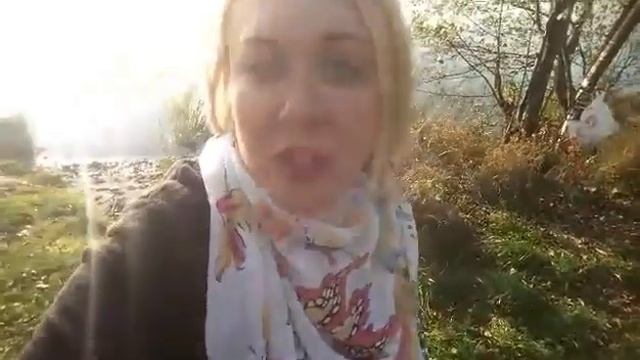Оплата в договоре аренды смотреть онлайн